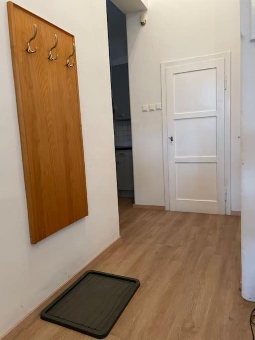 Geraeumige Altbauwohnung Im Zentrum Γκρατς Εξωτερικό φωτογραφία